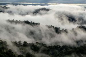 cloudy view mashpi forest Roque Sevilla